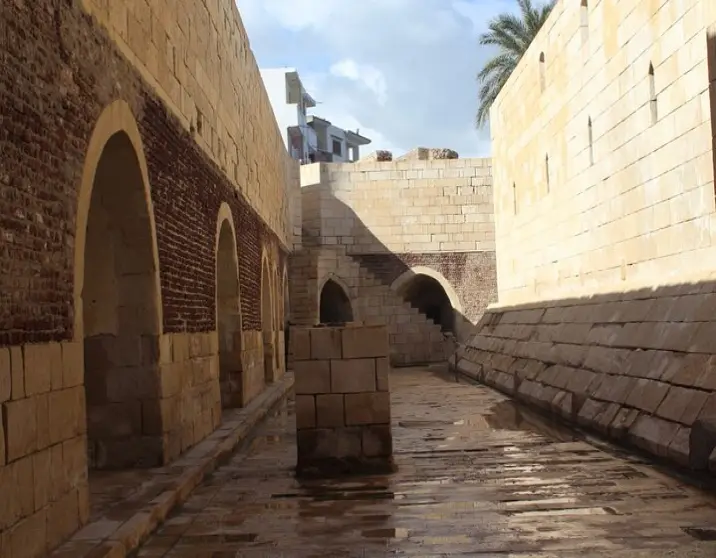 Rosetta Day Tour From Alexandria